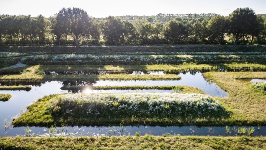 荷兰德·图尔魏德公园-4