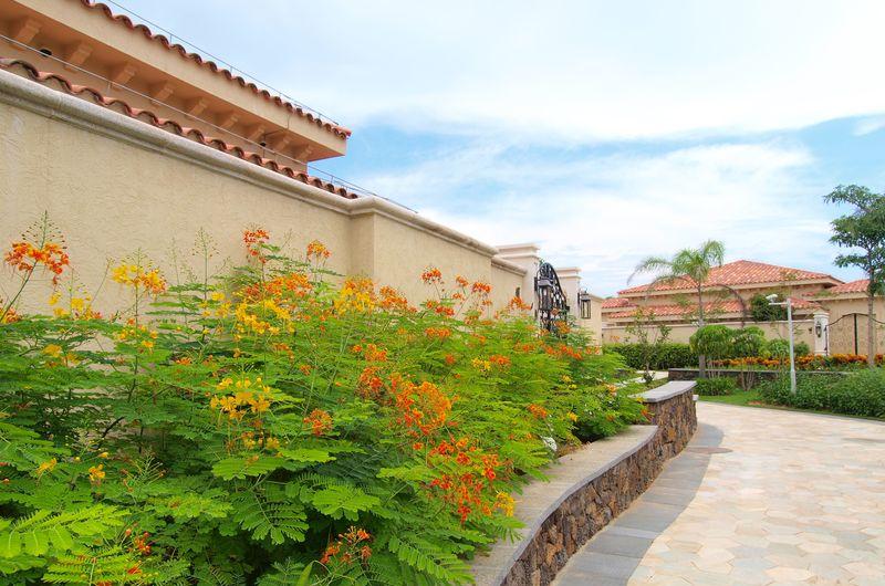 三亚喜来登度假酒店-16