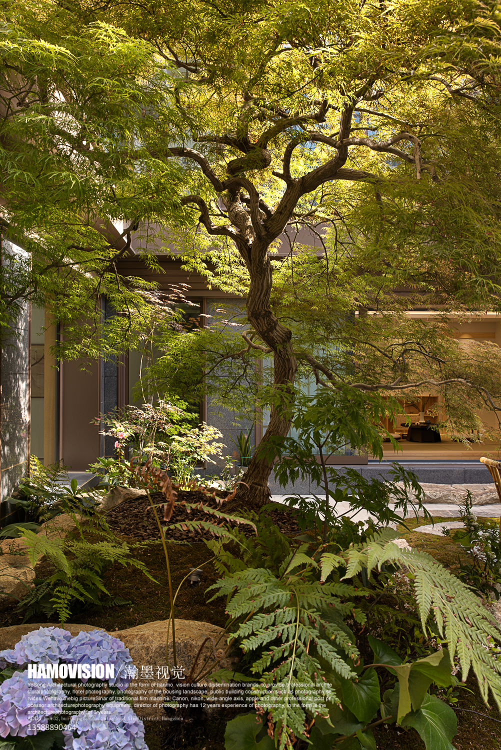 环球首发！×仁恒耦前·叶松摄影|李亚芹设计：家的温度与秩序-43