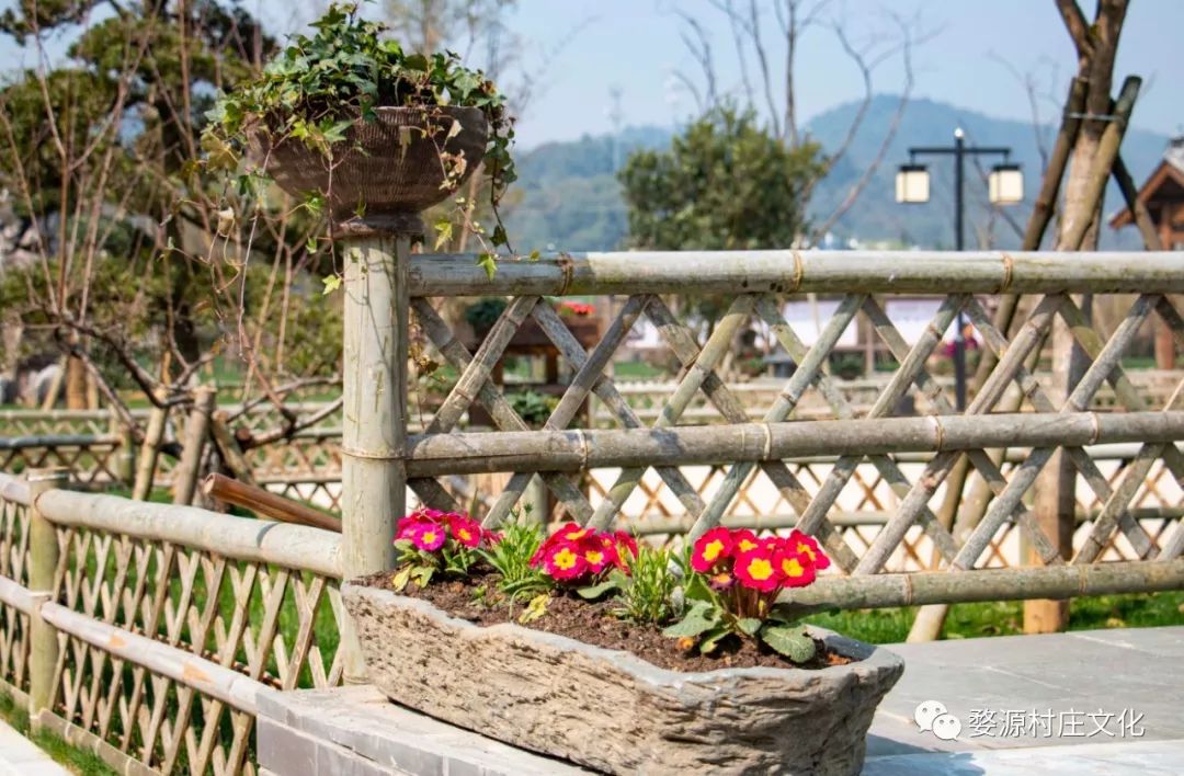 婺源碧山村亲子游新去处,原生态乡村乐园的完美逆袭-38