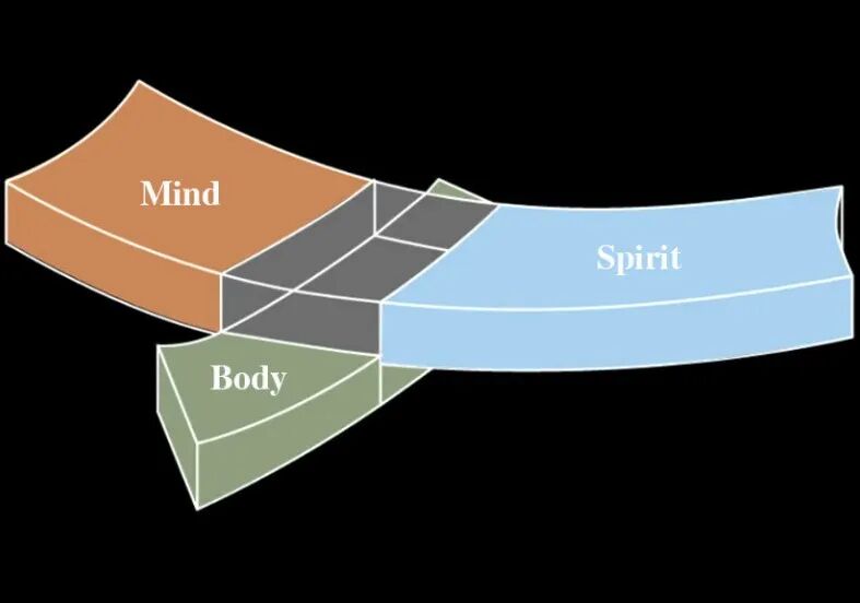 留寿都度假村（Not a Hotel Rusutsu）丨日本丨Snøhetta建筑事务所-21