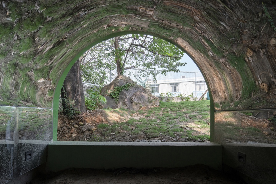 佛山锦屏山麓小学 | 公园里的校园,自然中学习-80