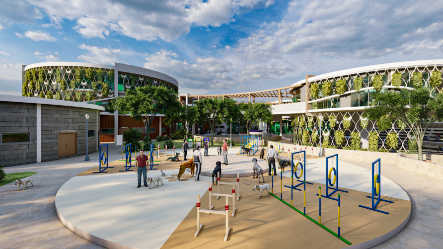 CENTRO DE ATENCION INTEGRAL-23