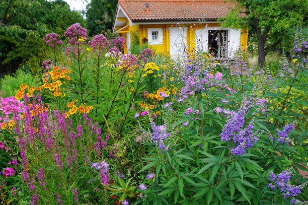 德普莱纳的小菜园丨德国柏林丨Büro Christian Meyer-7