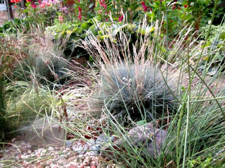 Kaću雨水花园项目丨诺维萨德丨Amela Greksa（景观建筑学硕士工程师）-38