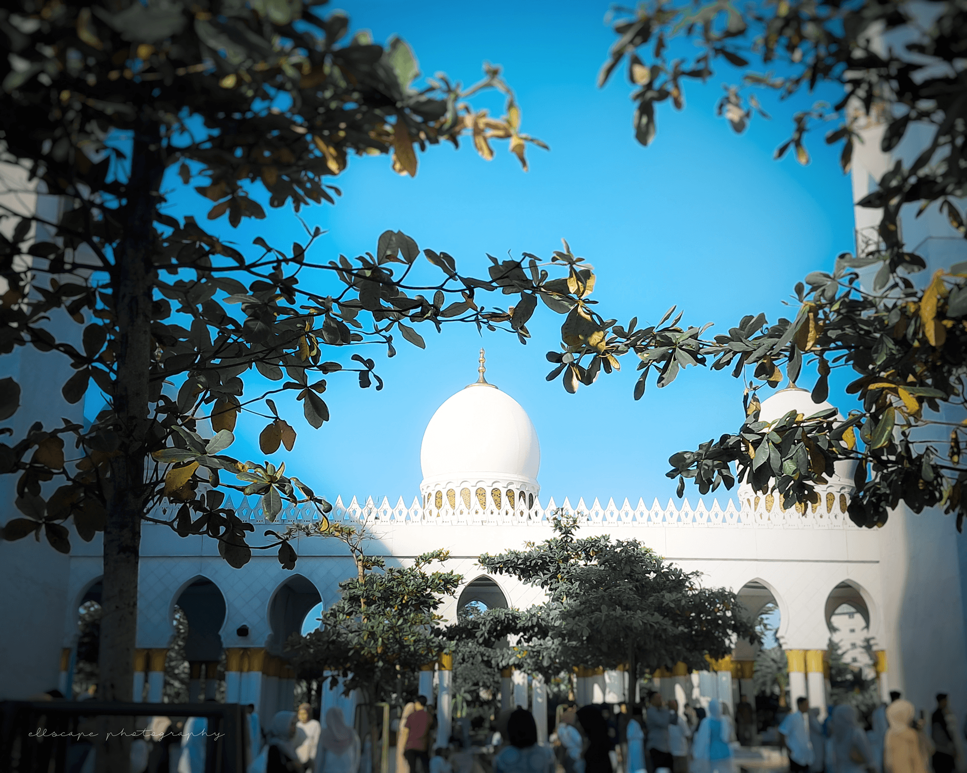 Masjid Syeikh Zayed（赛义德 Sheikh 清真寺）丨叙利亚拉卡-8