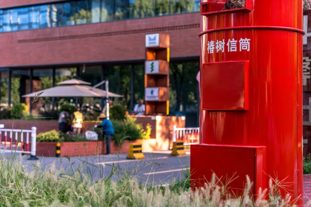 成府路上的街角更新——寄给未来的信-30