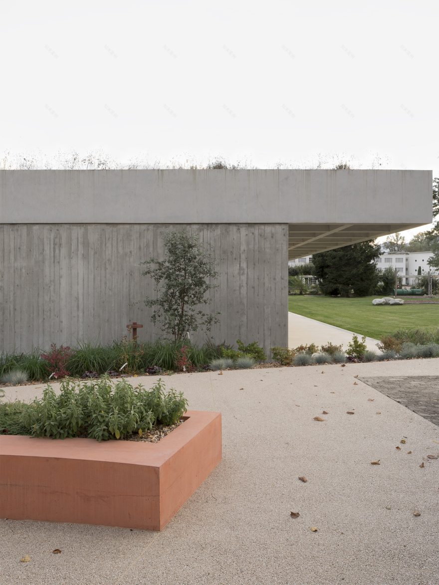 洛迦诺幼儿园丨瑞士丨cappelletti sestito architetti-66