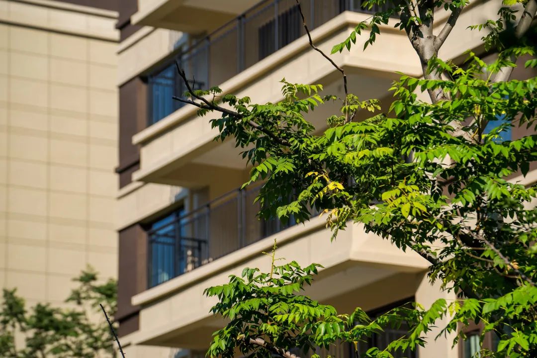 美好交付 | 镇江上悦诗苑，理想照进现实的新生活-26