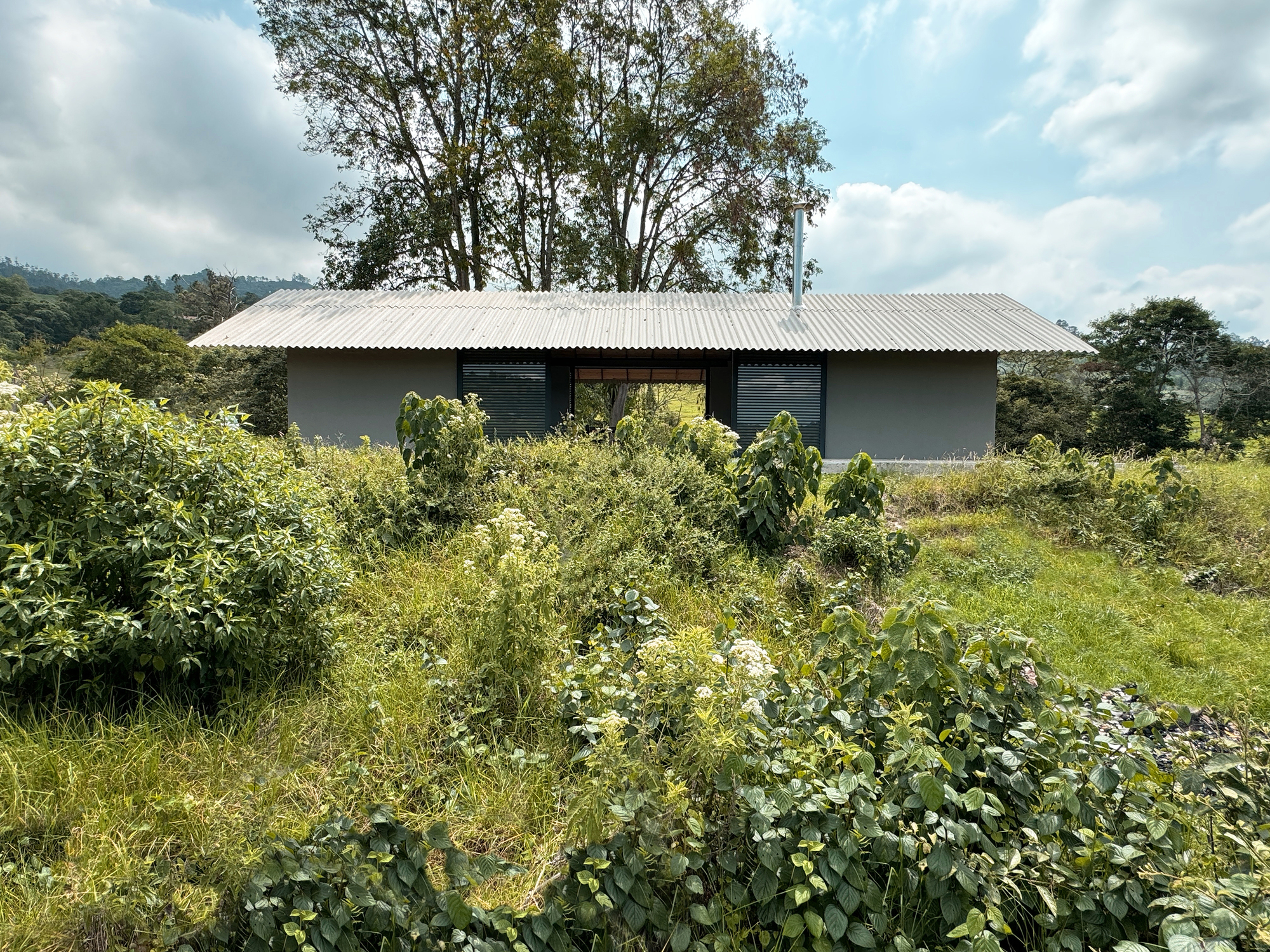 春季住宅丨哥伦比亚丨MASA-32