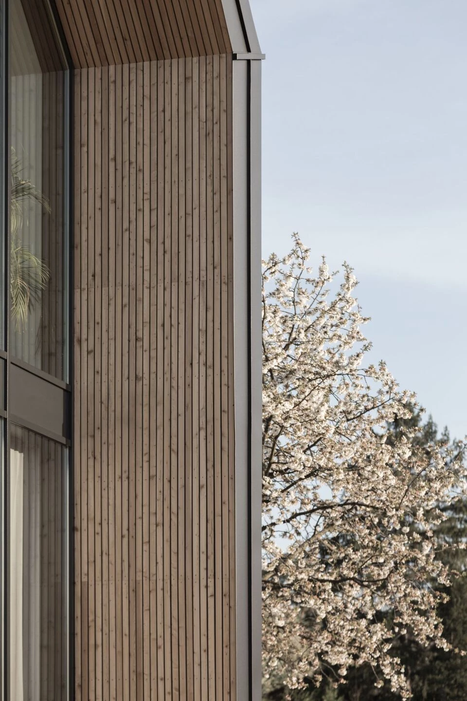 LIA – 在黑色墙壁后面丨Austria丨STEINBAUER architektur+design-17