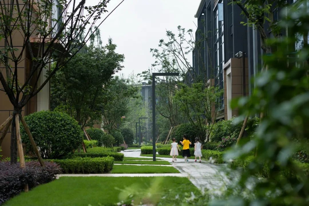 龙湖·双珑原著 3#块 | 自然艺术与现实生活的极致融合-175