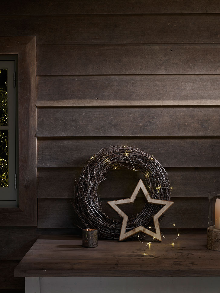 自然奇观 | Neptune 的圣诞装饰系列-8