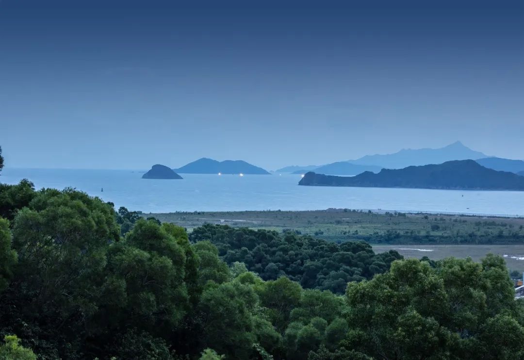 和颐荟丨中国深圳丨清大软装-5