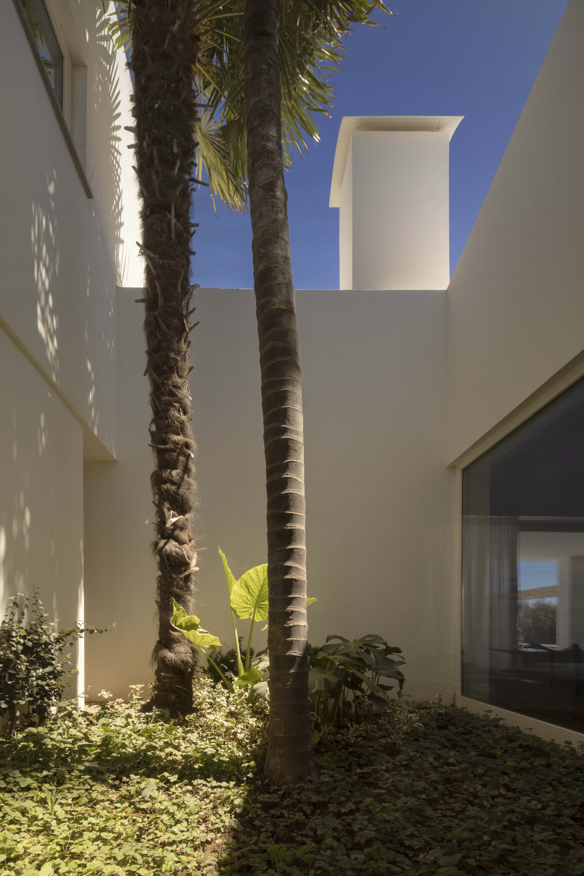 圣安东尼奥之家丨葡萄牙丨José Adrião Arquitetos-32