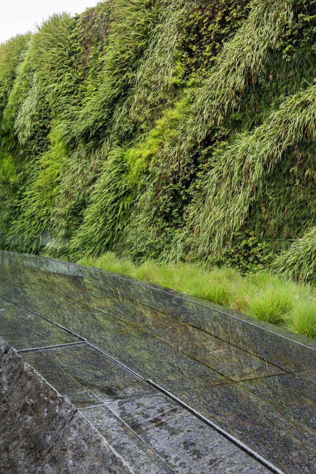 成都麓湖生态城-21