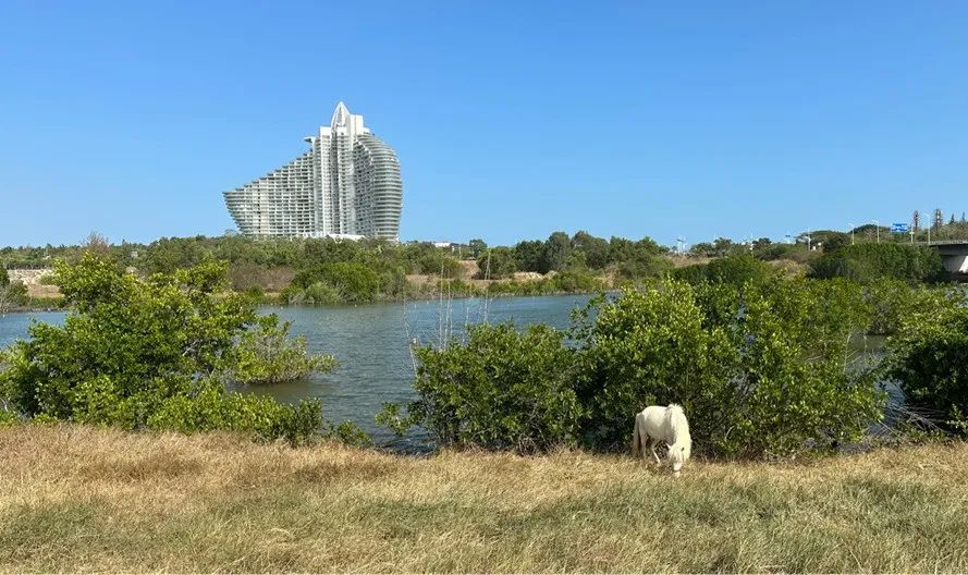 三亚华润置地海棠悦府丨中国三亚丨WTD纬图设计-7