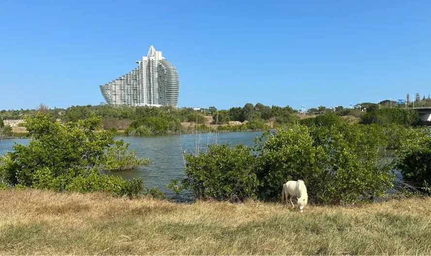三亚华润置地海棠悦府丨中国三亚丨WTD纬图设计-7