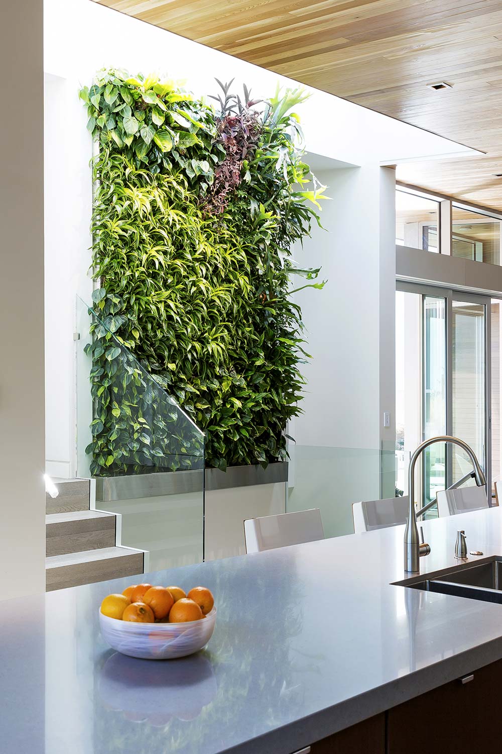 加拿大山坡上的漂亮房子丨加拿大温哥华-12