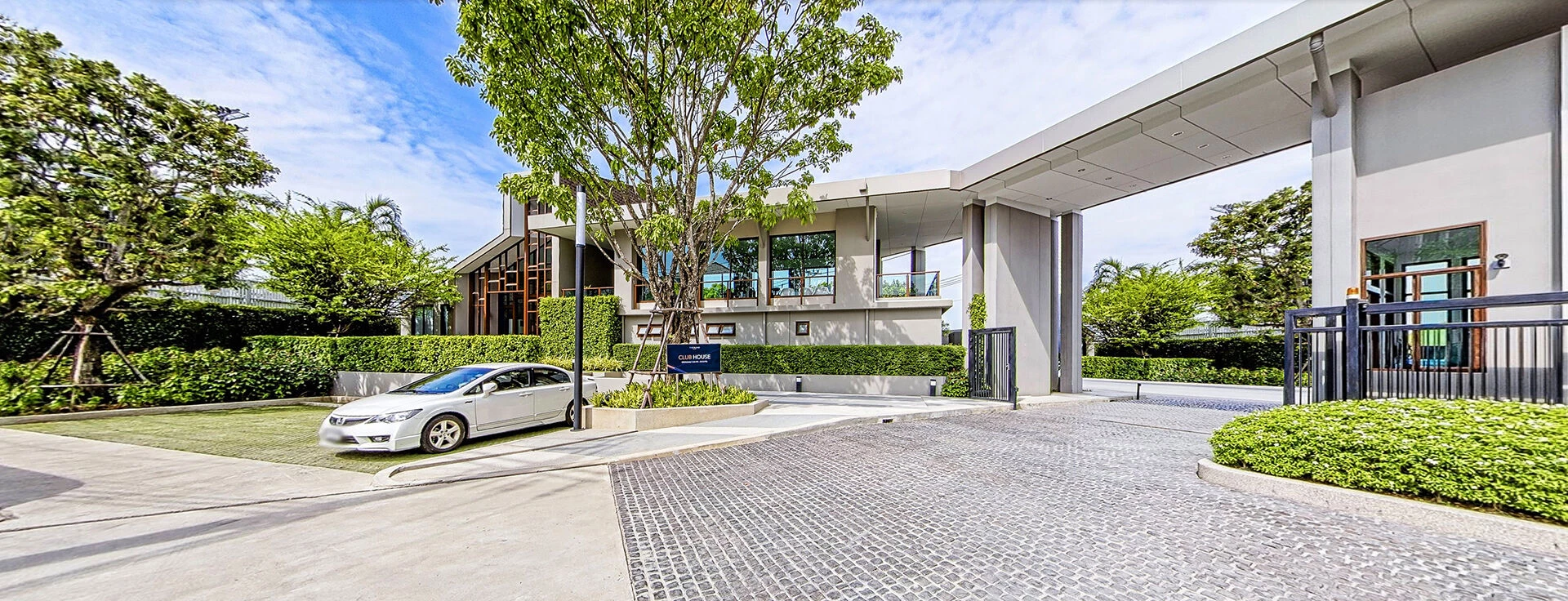 植物精英和帕森-34