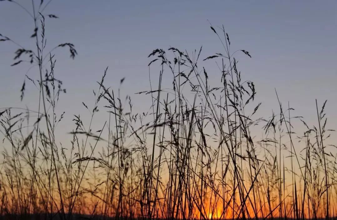 万科·成都天府-75