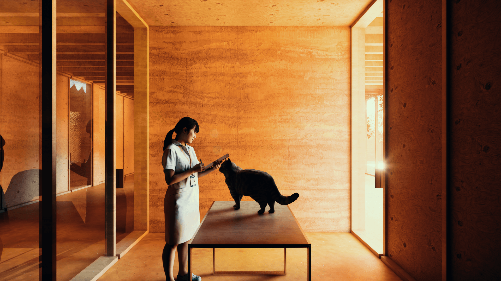 Casa Hogar "Manchas y Rayas"-4