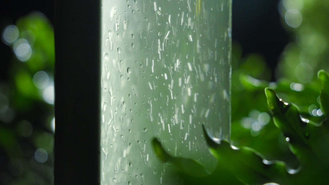 微藻实验花园：景观设计中的绿色新篇章-62