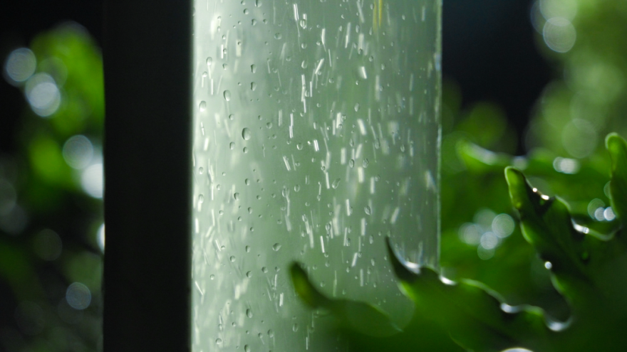 微藻实验花园:景观设计中的绿色新篇章-62