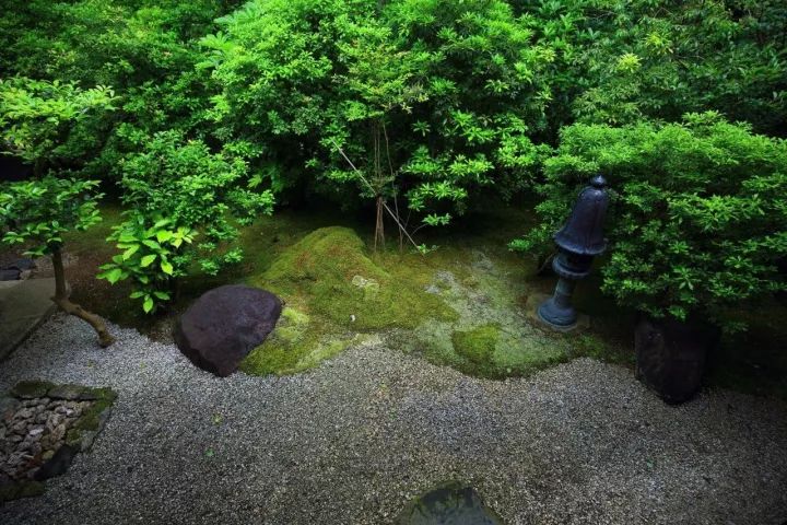 庭院满青苔，极美！-51