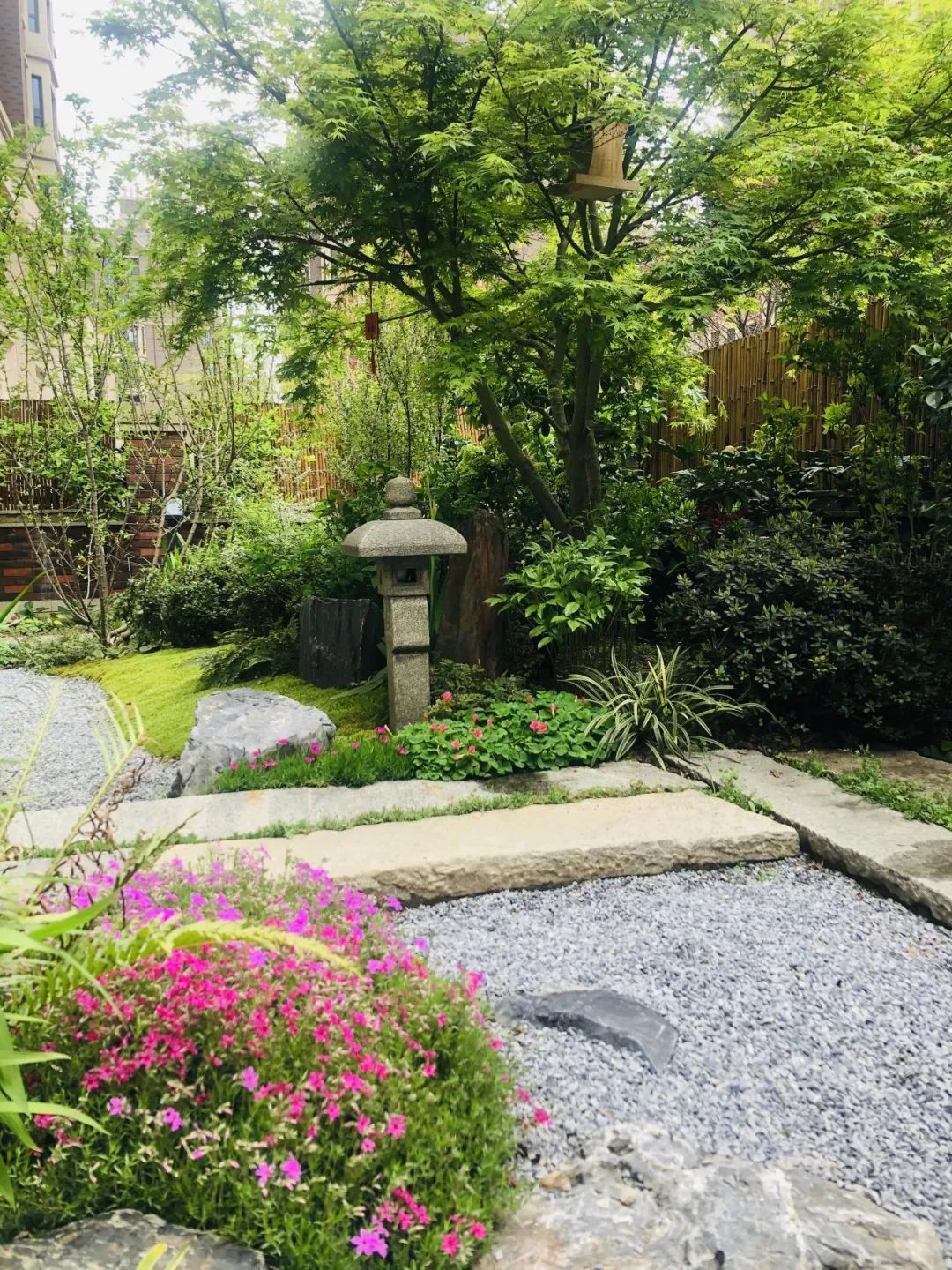 禅意花园里植物的那些事-162