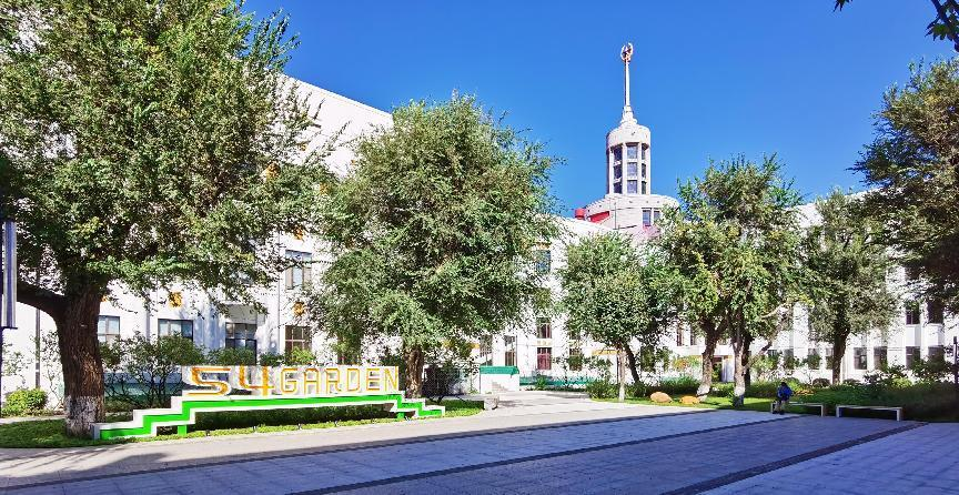 黑龙江中医药大学校园景观提升改造项目丨中国和平丨方舟国际设计有限公司-180