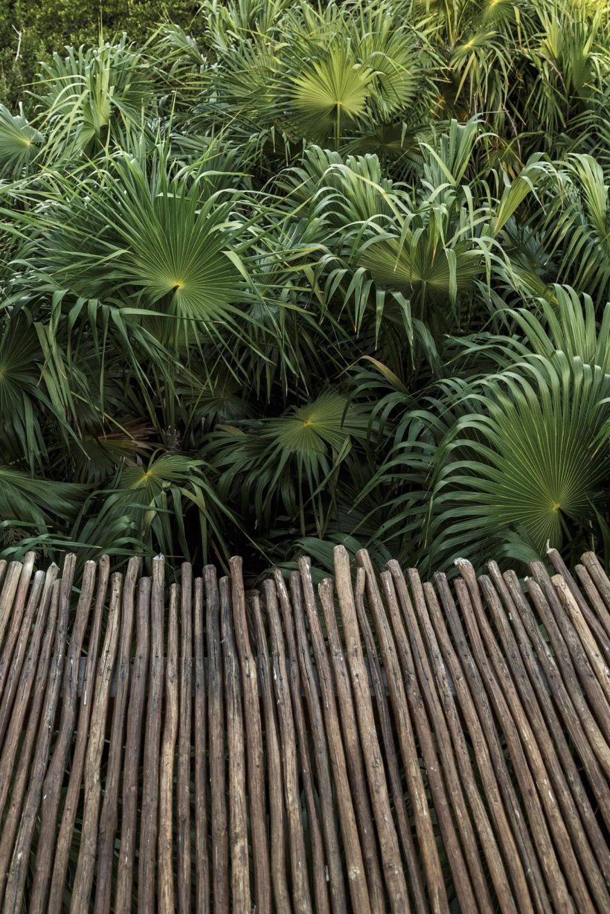 墨西哥淳朴树屋民宿设计-39