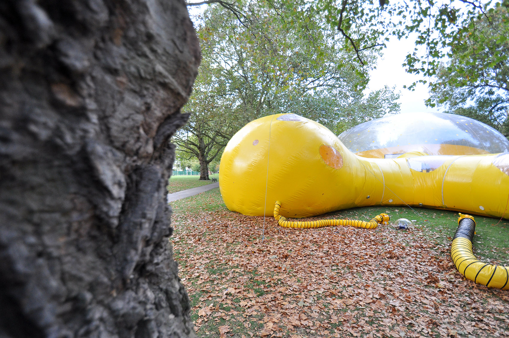 东伦敦的黄色大泡泡 / Dosis-49