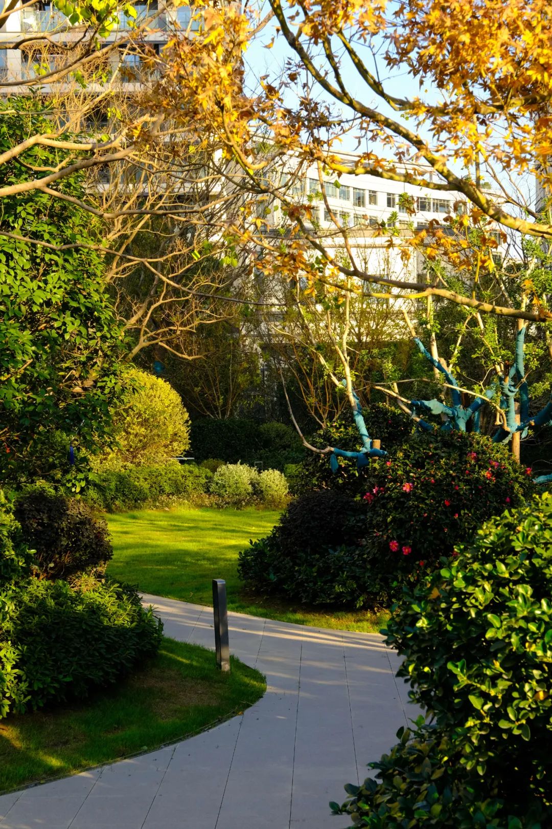 上海中海长宁ONE居住大区丨中国上海丨LAURENT罗朗景观-50