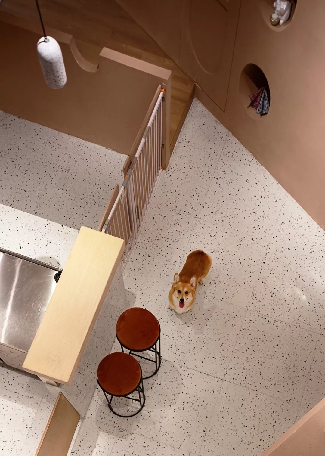 柯基互动体验馆，传递爱与关怀的小世界-0