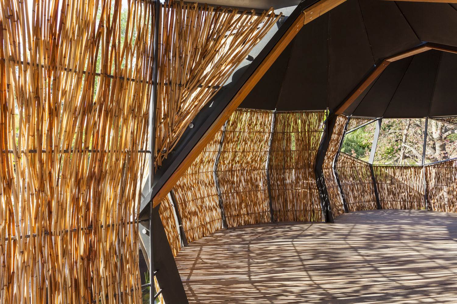 Lemur Exhibit Snowdon Architects-33