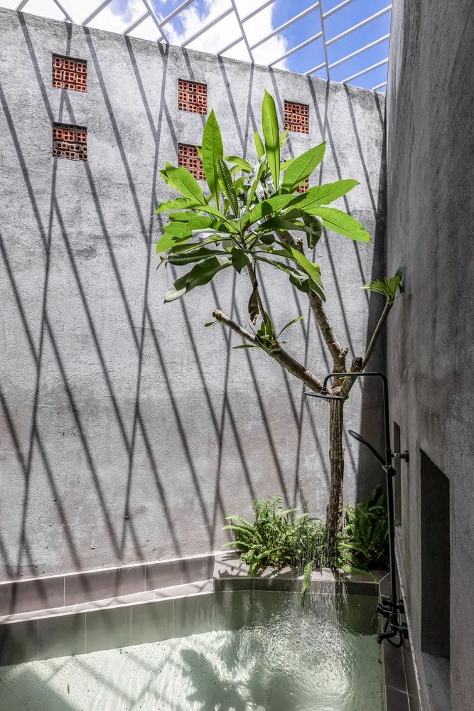 绿色环绕的越南西贡 94 平米住宅设计-43