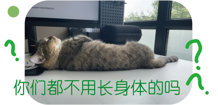 内卷的设计部年度考核丨公司设计部-5