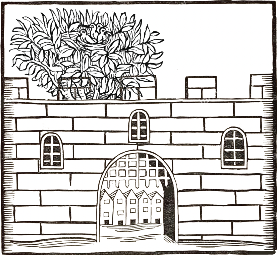 《绽放的要塞》丨卢志荣-2