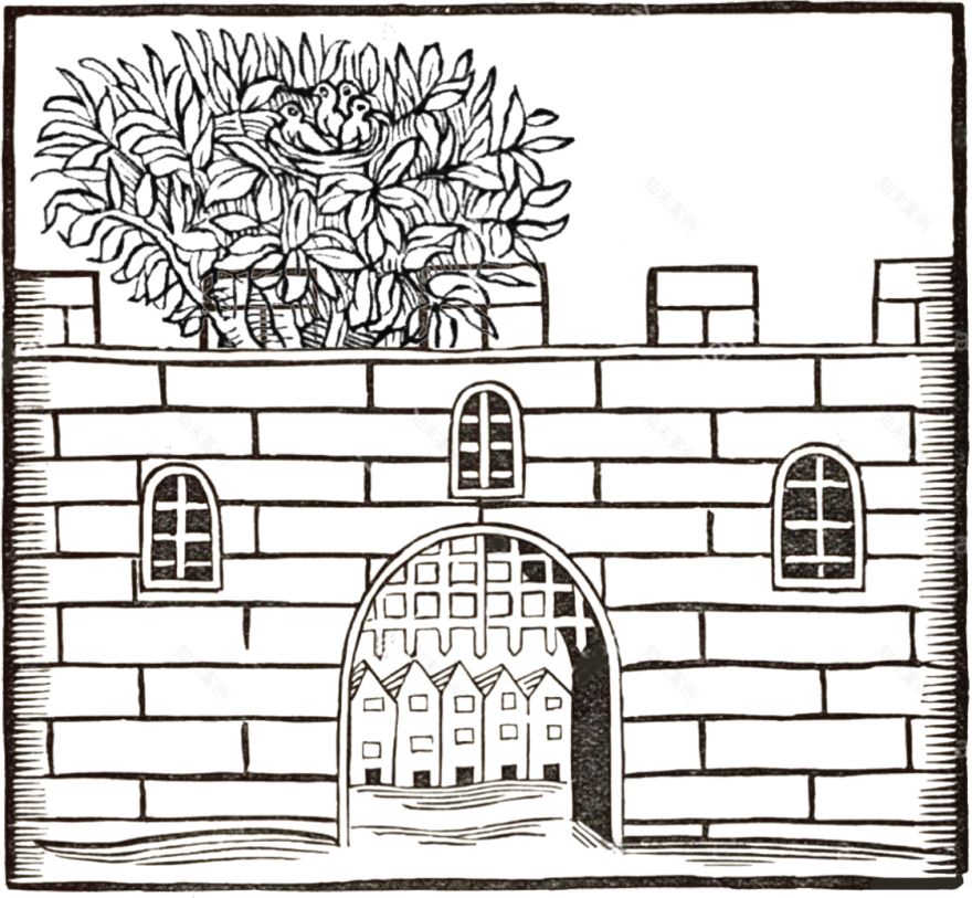 《绽放的要塞》丨卢志荣-2