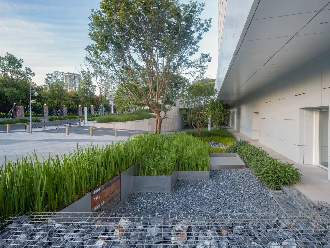 当海绵遇上艺术｜深圳光明文化艺术中心-137