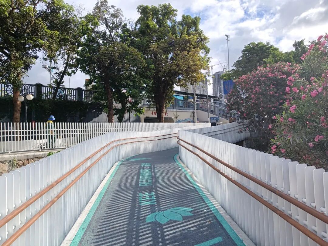 景观跑道开通！来罗湖体验一次逛两个公园的快乐吧~-21