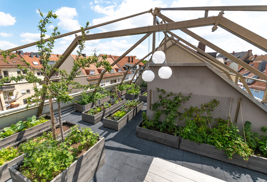 德国 Nürnberg 城市植物房丨büro für bauform-17