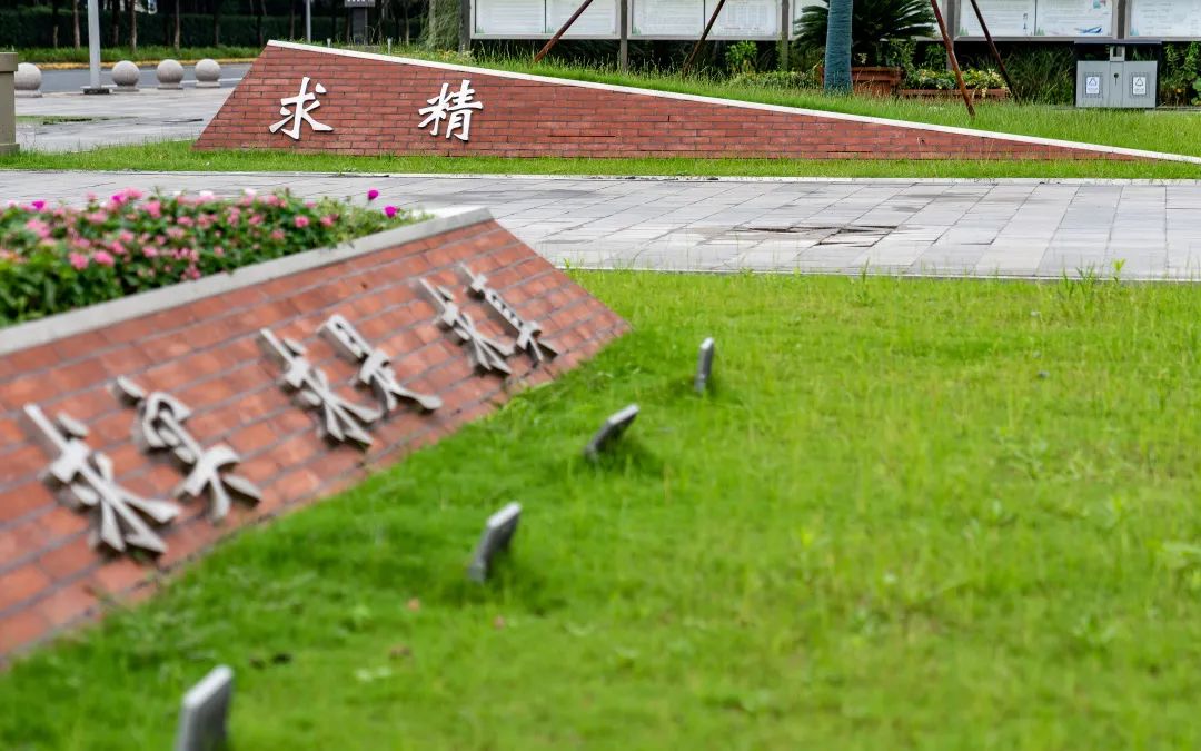 彩叶化树种装点昆山校园丨中国江苏丨上海亦境建筑景观-39