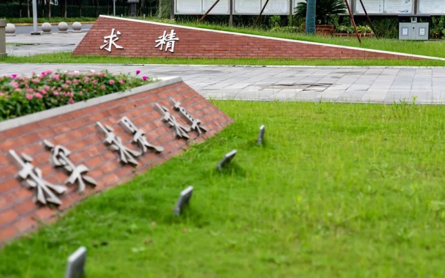 彩叶化树种装点昆山校园丨中国江苏丨上海亦境建筑景观-39