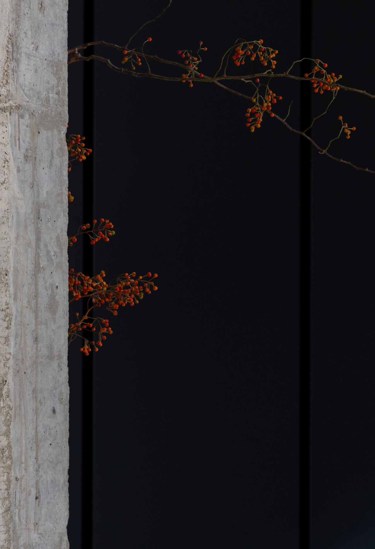 混凝土的诗意丨中国上海丨空间设计是合设计,软装设计珊瑚居艺术空间Corallo Casa-2