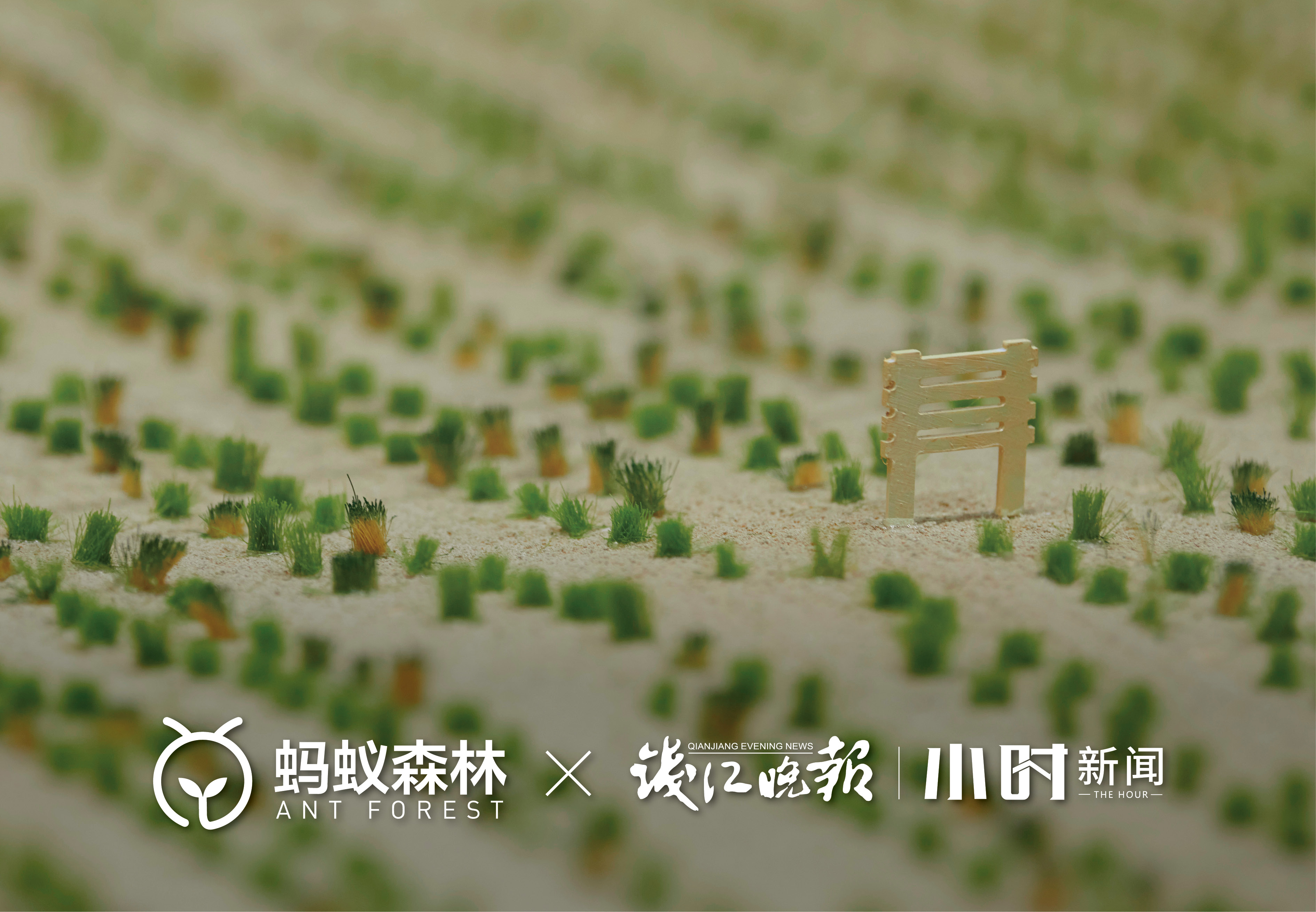 杭州天目里绿色嘉年华「森林里」丨中国杭州丨蚂蚁森林,杭州天目里,不是美术馆-52