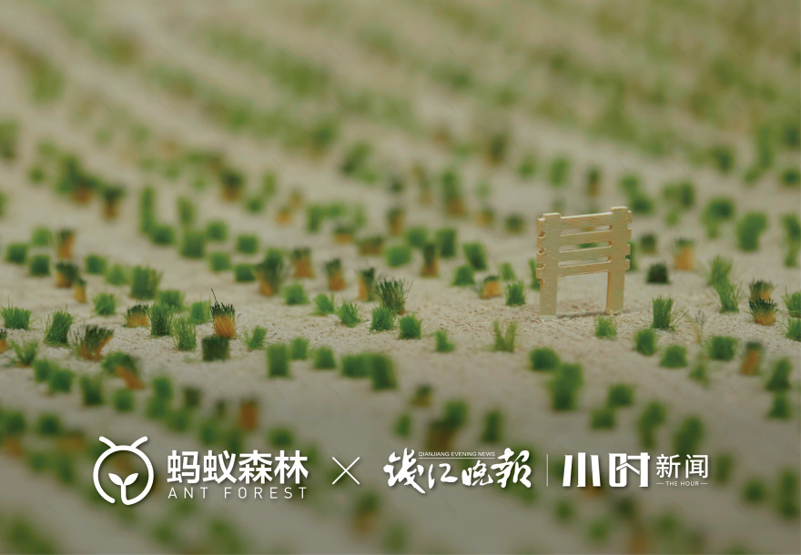 杭州天目里绿色嘉年华「森林里」丨中国杭州丨蚂蚁森林,杭州天目里,不是美术馆-52