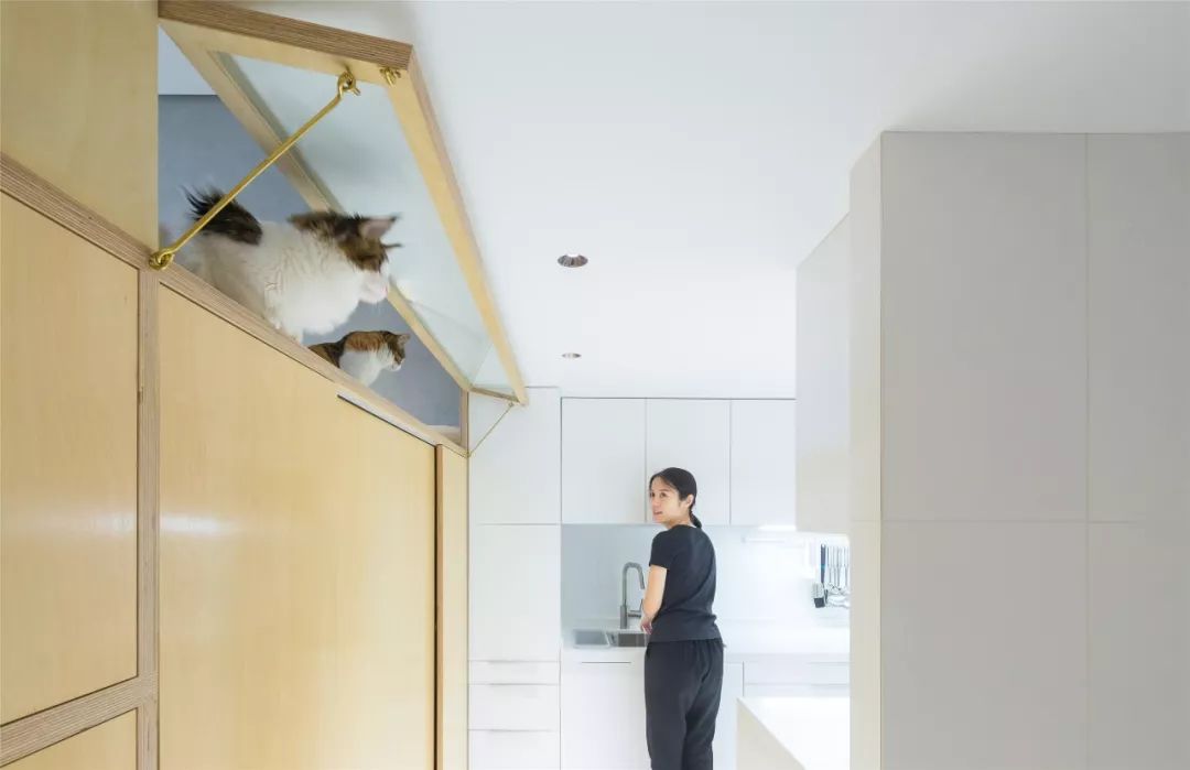 盈尺起山:40平方米居住空间改造设计丨中国杭州丨久舍营造工作室-131
