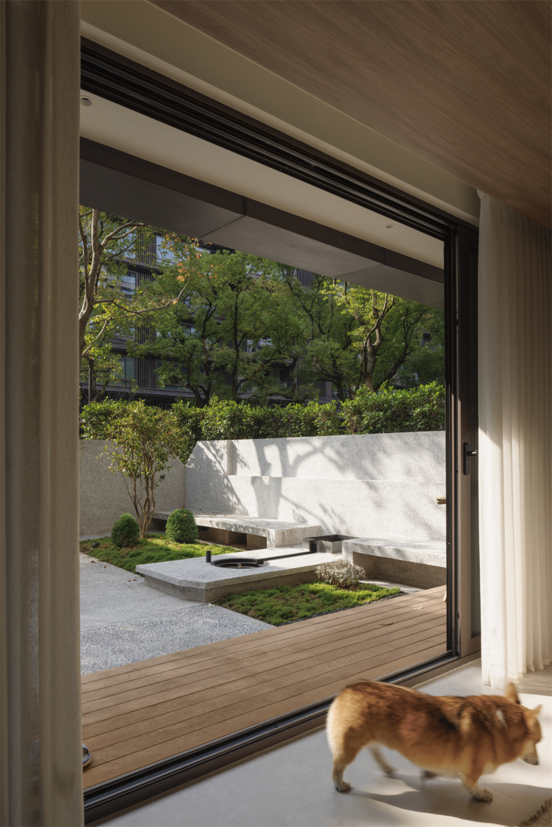 汪星人科科和臭臭的亲密无间家园丨中国重庆丨重庆微观室内设计有限公司-38